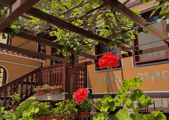 酒店 文艺复兴广场家庭酒店 普罗夫迪夫